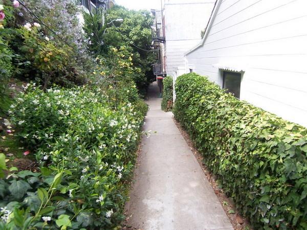 Amsi Lake Street San Francisco Exterior foto
